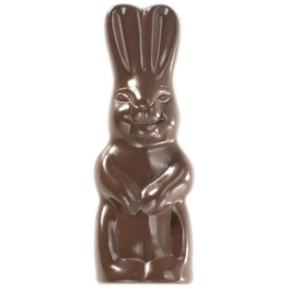 Çikolata Kalıbı Tavşan Çantalı