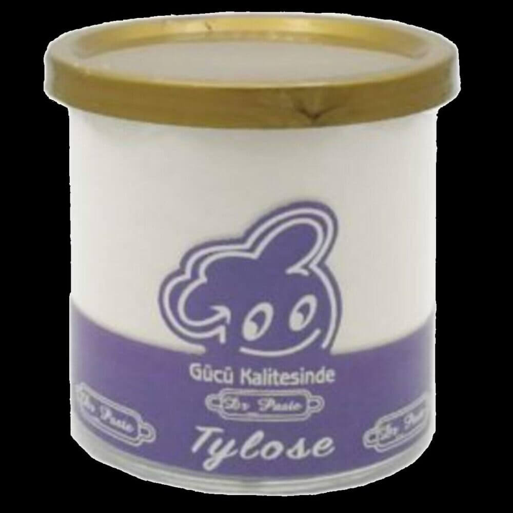 Tylose 100 Gr. Dr.Paste